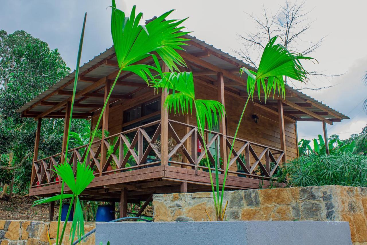 Eden Valley Ecolodge And Farming Madalena Bagian luar foto