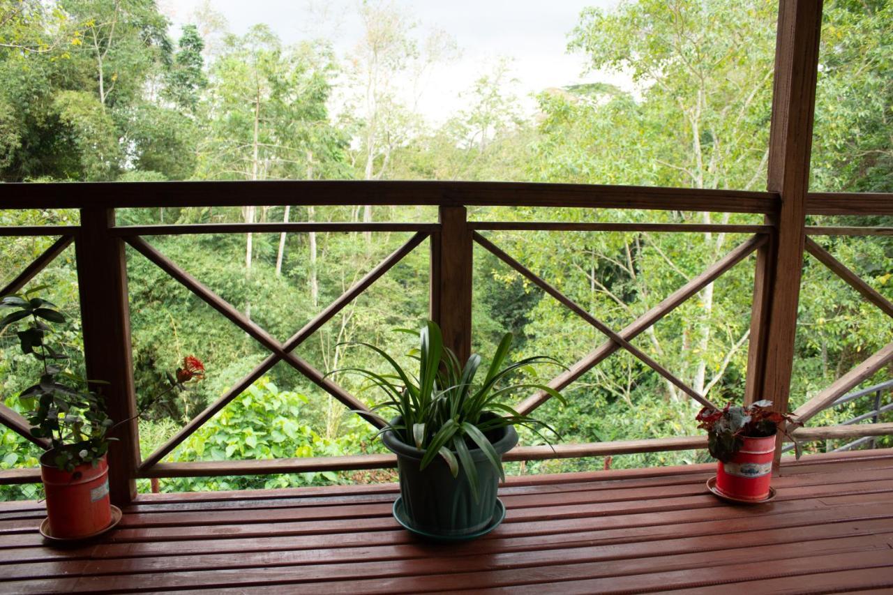 Eden Valley Ecolodge And Farming Madalena Bagian luar foto