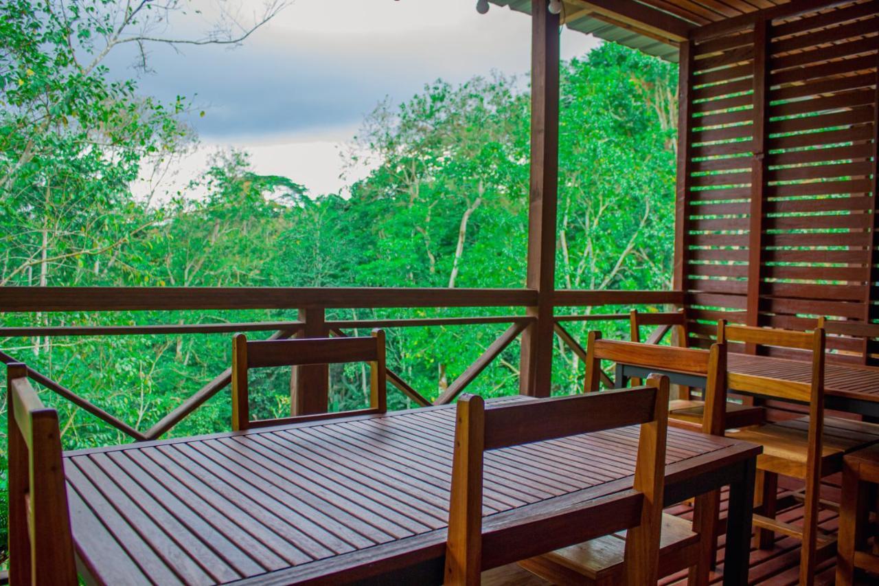 Eden Valley Ecolodge And Farming Madalena Bagian luar foto