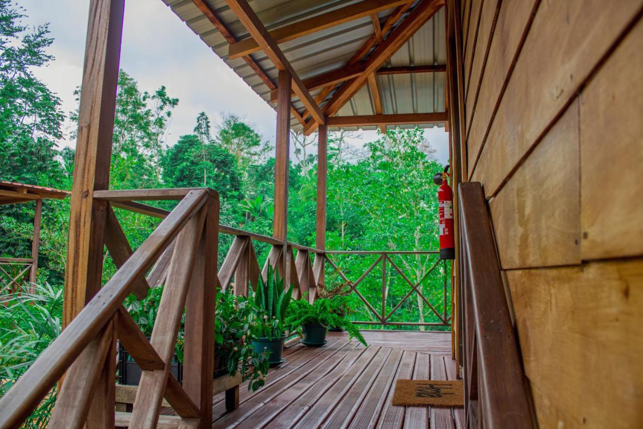 Eden Valley Ecolodge And Farming Madalena Bagian luar foto