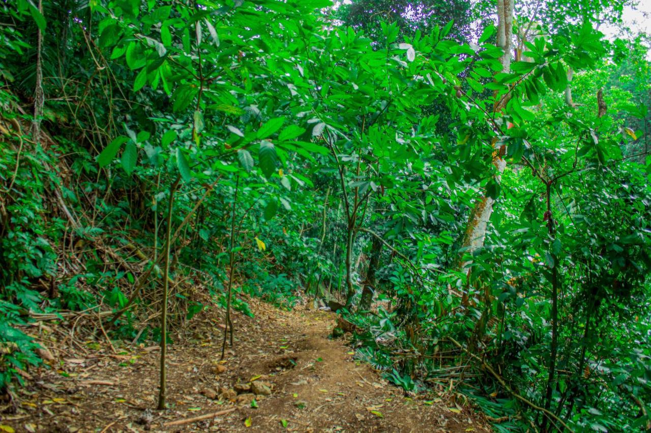 Eden Valley Ecolodge And Farming Madalena Bagian luar foto