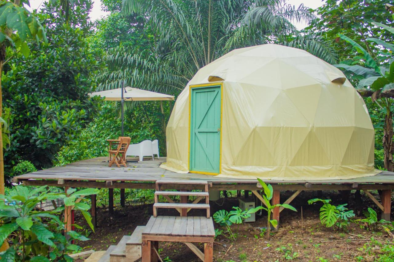 Eden Valley Ecolodge And Farming Madalena Bagian luar foto