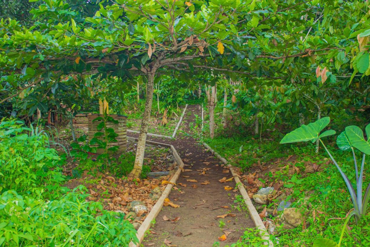 Eden Valley Ecolodge And Farming Madalena Bagian luar foto