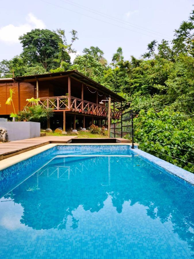 Eden Valley Ecolodge And Farming Madalena Bagian luar foto