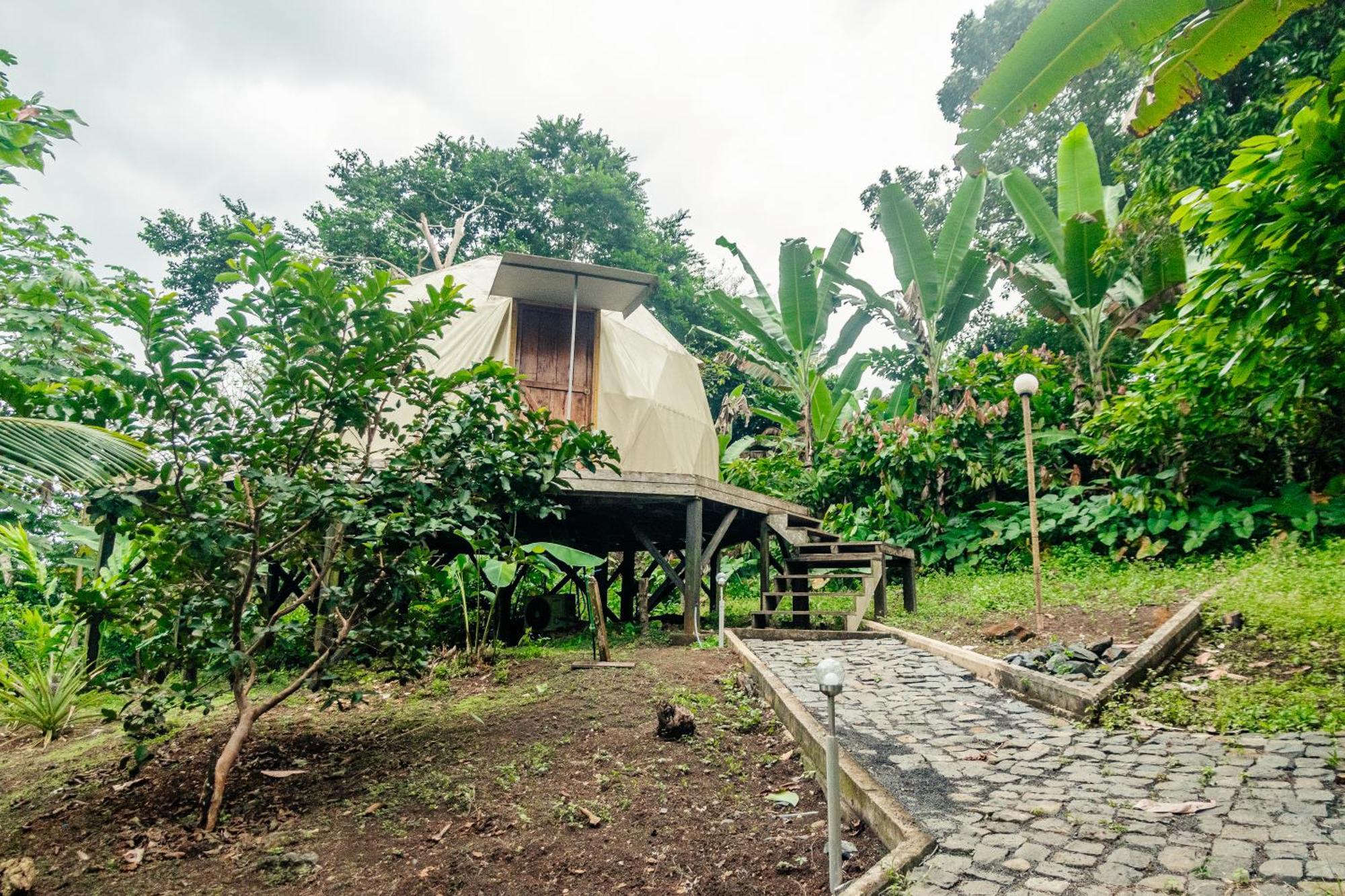 Eden Valley Ecolodge And Farming Madalena Bagian luar foto